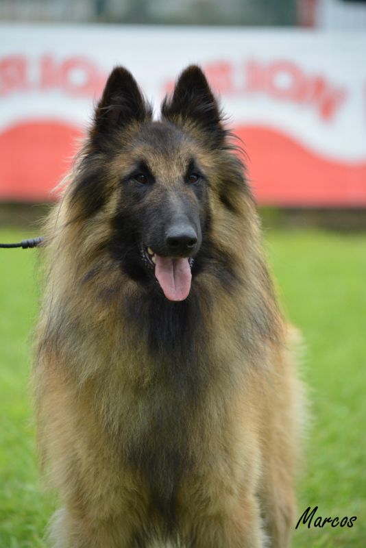 45-PROTOS DEL CLAM_U